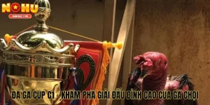 Đá Gà Cup C1 - Khám Phá Giải Đấu Đỉnh Cao Của Thế Giới Gà Chọi