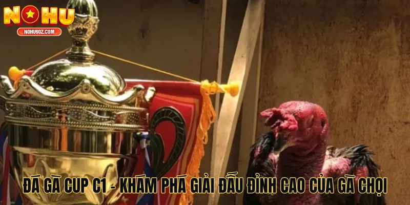 Đá Gà Cup C1 - Khám Phá Giải Đấu Đỉnh Cao Của Thế Giới Gà Chọi