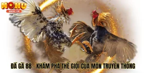 Đá Gà 88 - Khám Phá Thế Giới Kịch Tính Của Môn Chơi Truyền Thống