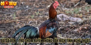 Đá Gà Đòn - Trò Chơi Truyền Thống Đầy Kịch Tính Nghệ Thuật