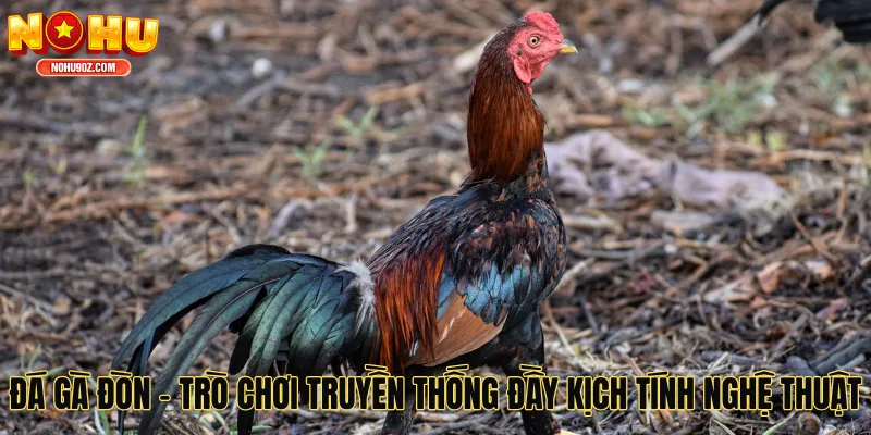 Đá Gà Đòn - Trò Chơi Truyền Thống Đầy Kịch Tính Nghệ Thuật
