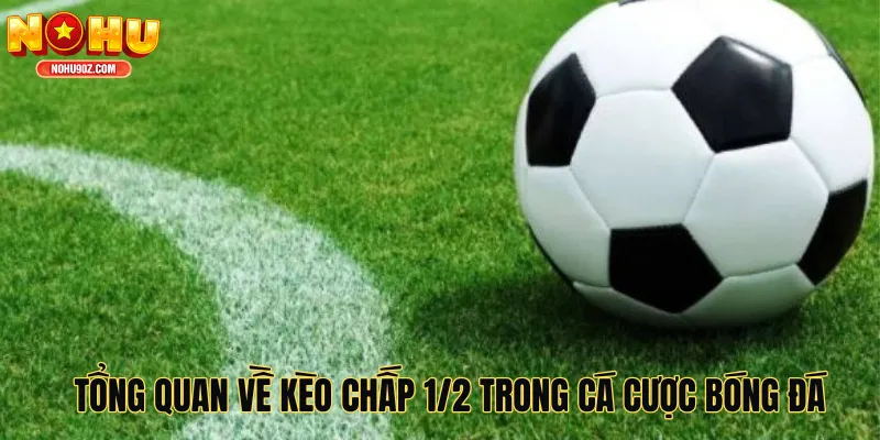 Tổng quan về kèo chấp 1/2 trong cá cược bóng đá