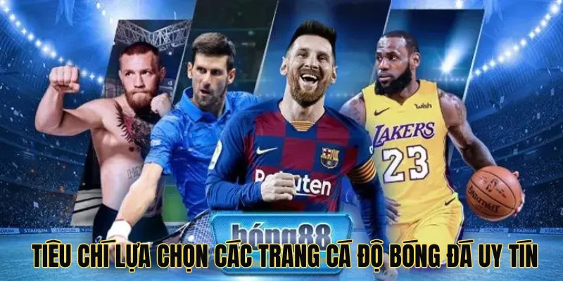 Tiêu chí lựa chọn các trang cá độ bóng đá uy tín