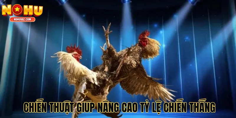 Chiến thuật giúp nâng cao tỷ lệ chiến thắng trong đá gà 88